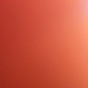 Meet your Posher, Daniela